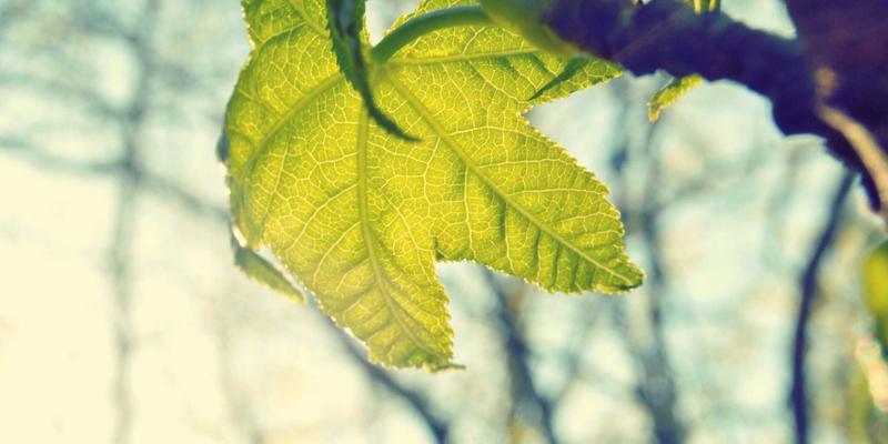 AI如何重塑网络架构：实战解析流量预测与智能路由优化