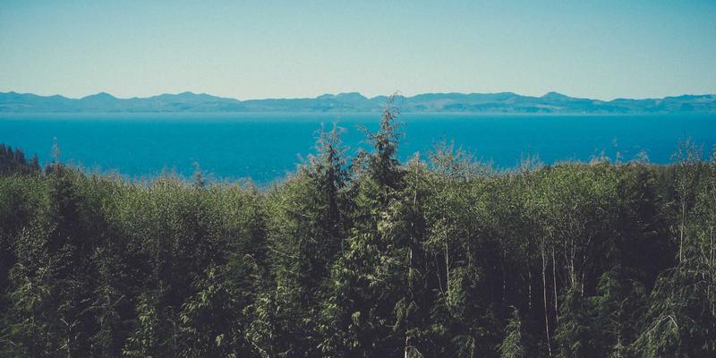 NTP与PTP：金融交易与工业4.0背后的毫秒级战争