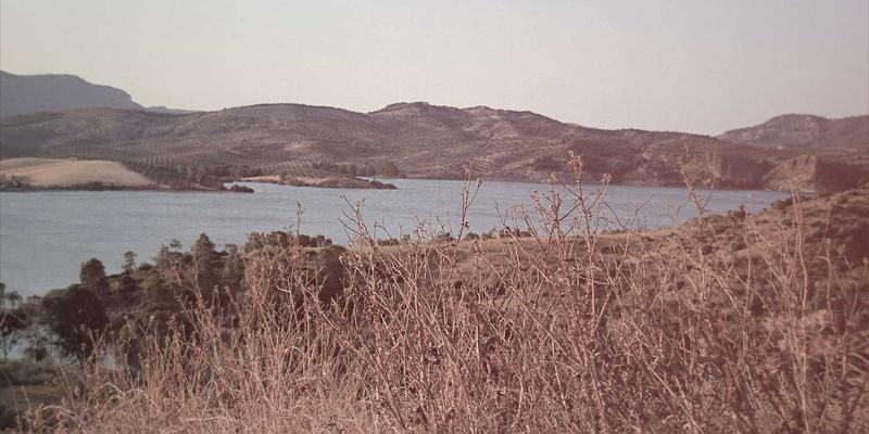 SD-WAN vs. MPLS:企业广域网现代化转型的成本效益与选型实战分析