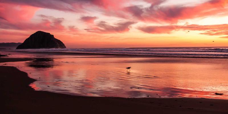 工业互联网的神经中枢:深度解析TSN如何通过确定性延迟重塑实时通信