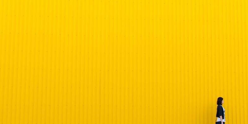 突破网络边界:零成本使用P4语言打造自定义数据平面(附免费学习资源与前端联动实战)