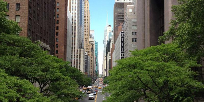 解放网络创造力：如何用P4编程语言自定义协议栈，重塑后端网络架构